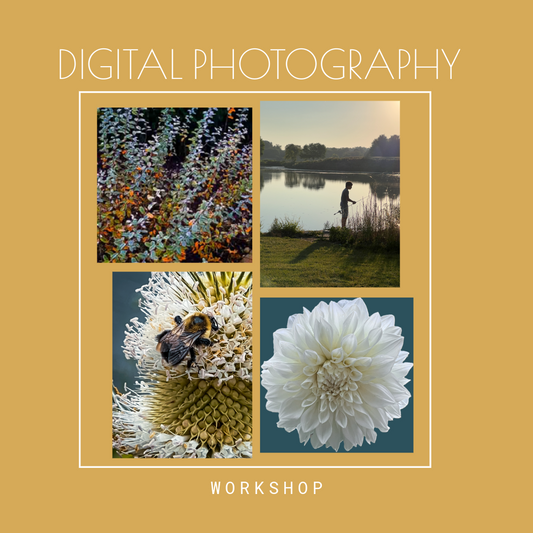 I PHONE DIGITAL PHOTOGRAPHY