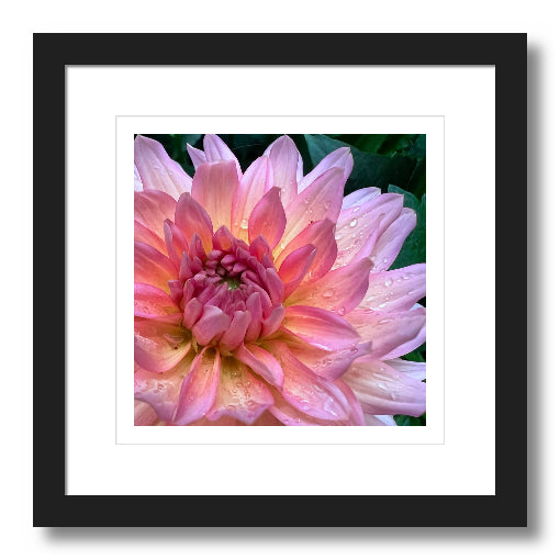 FLORAL 1 - DOREEN AVILA
